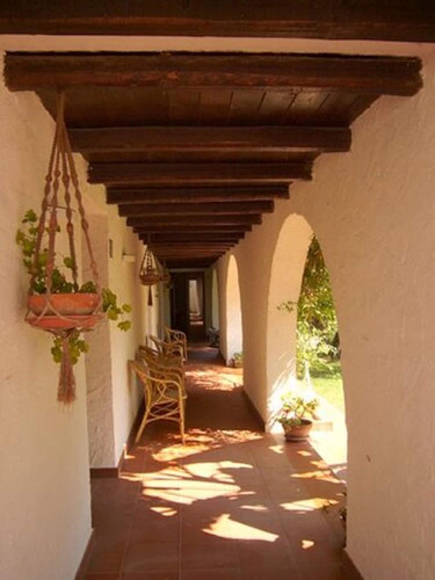 Mediterranea 3*